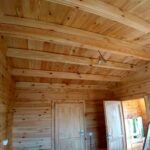 clienti casa lemn Olivia