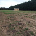 Foto clienti casa lemn NATURA